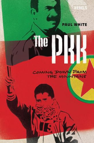 Cover image for The PKK: Coming Down from the Mountains