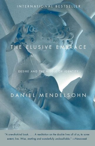 Cover image for The Elusive Embrace: Desire and the Riddle of Identity