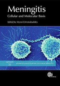 Cover image for Meningitis: Cellular and Molecular Basis
