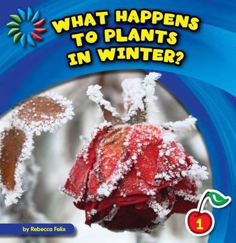 what-happens-to-plants-in-winter-rebecca-felix-9781631376085