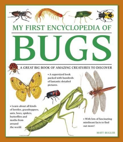 Cover image for My First Encyclopedia of Bugs (giant Size)