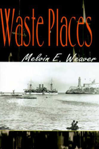 Cover image for Waste Places