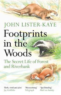 Cover image for Footprints in the Woods