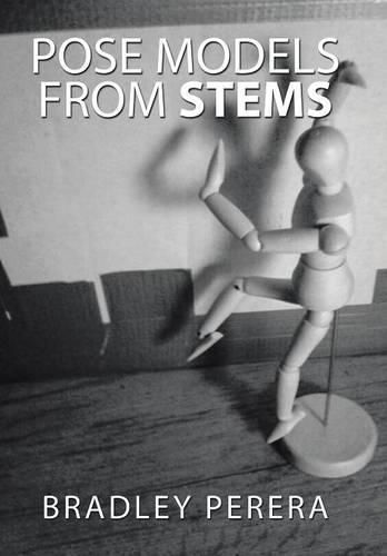 Cover image for Pose Models from Stems