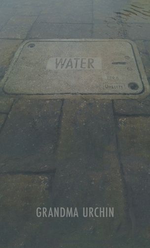 Cover image for Water