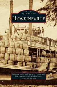 Cover image for Hawkinsville