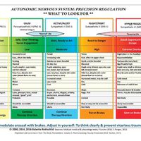 Cover image for Autonomic Nervous System Table: Laminated Card