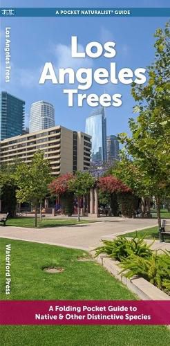 Cover image for Los Angeles Trees: A Folding Pocket Guide to Familiar Plants