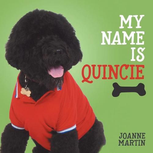 Cover image for My Name is Quincie