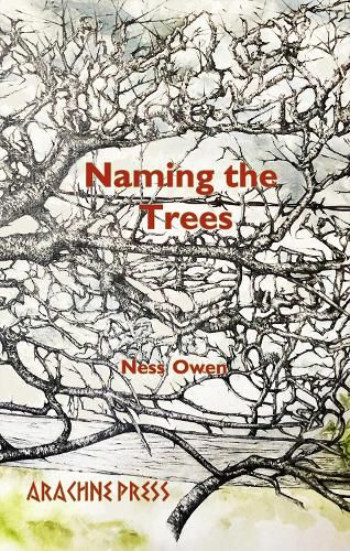 Cover image for Naming the Trees