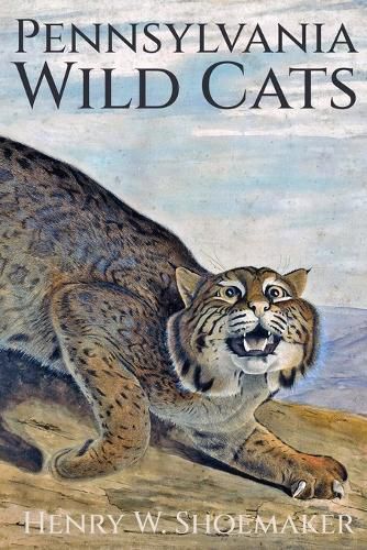Cover image for Pennsylvania Wild Cats