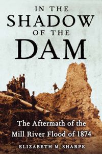 Cover image for In the Shadow of the Dam, The Aftermath of the Mill River Flood of 1874