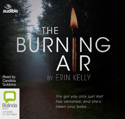 Cover image for The Burning Air