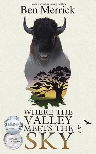 Cover image for Where the Valley Meets the Sky