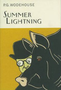 Cover image for Summer Lightning