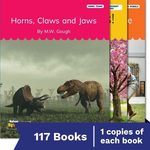 Cover image for Nelson Decodable Readers Sets 1-20 + Supplemental Non-Fiction Pack x117