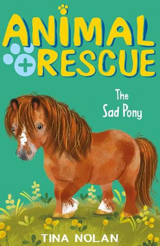 Cover image for The Sad Pony