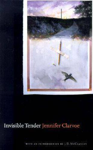 Cover image for Invisible Tender