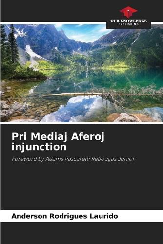 Cover image for Pri Mediaj Aferoj injunction