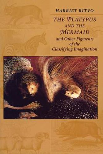 Cover image for The Platypus and the Mermaid: And Other Figments of the Classifying Imagination