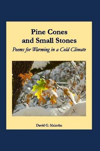 Pine Cones and Small Stones