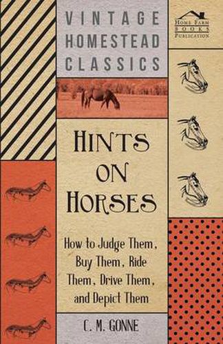 Cover image for Hints on Horses