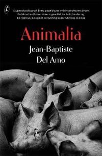 Cover image for Animalia