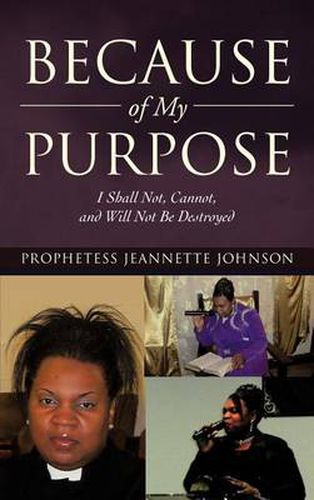Cover image for Because of My Purpose