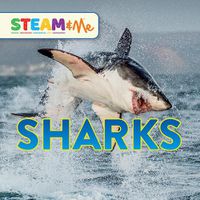 Cover image for Sharks