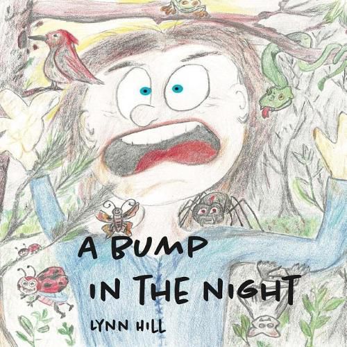 Cover image for A Bump In The Night