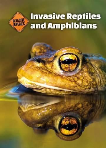 Cover image for Invasive Reptiles and Amphibians