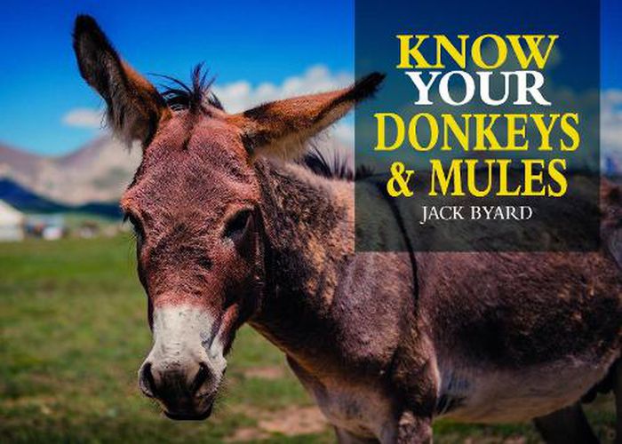 Know Your Donkeys & Mules