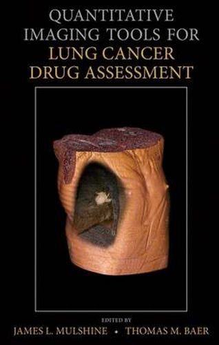 Cover image for Quantitative Imaging Tools for Lung Cancer Drug Assessment