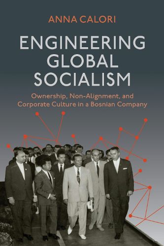 Cover image for Engineering Global Socialism