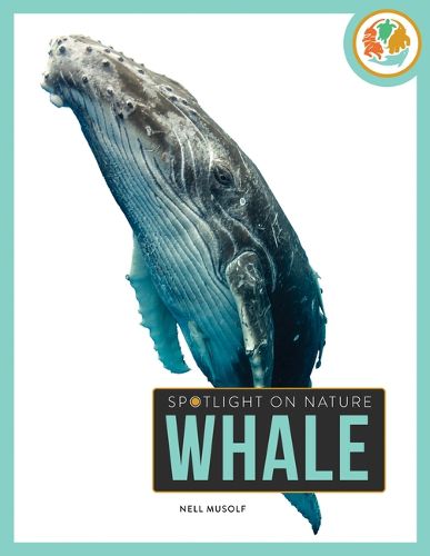 Cover image for Whale