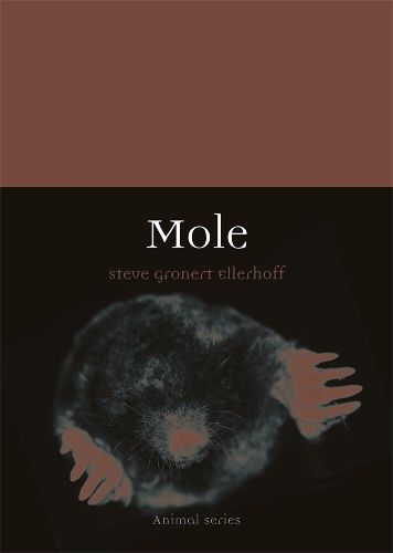 Cover image for Mole