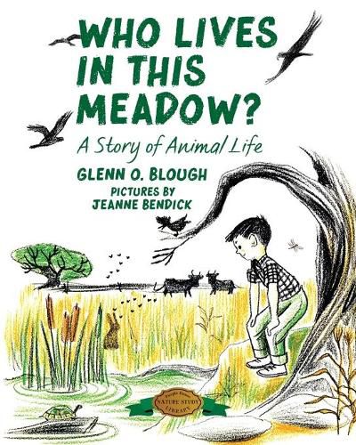 Who Lives in this Meadow?: A Story of Animal Life