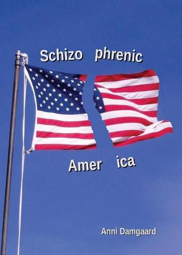 Cover image for Schizophrenic America