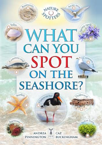 What Can You Spot on the Seashore?