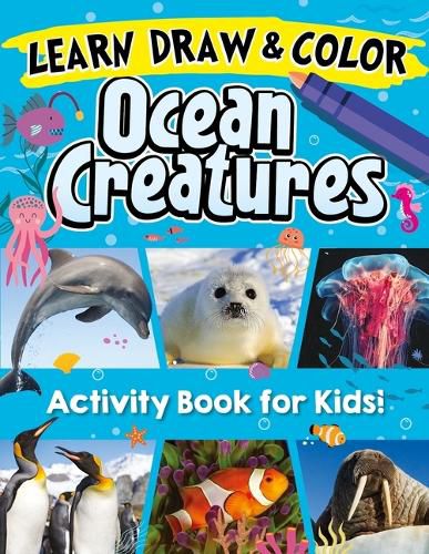 Cover image for Learn, Draw & Color Ocean Creatures
