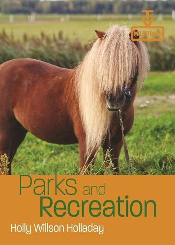 Cover image for Parks and Recreation