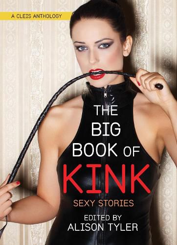 Cover image for The Big Book of Kink: Sexy Stories