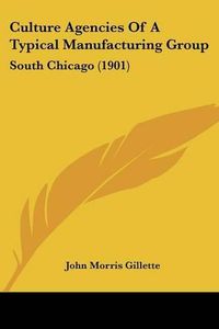 Cover image for Culture Agencies of a Typical Manufacturing Group: South Chicago (1901)