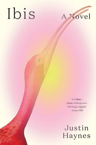 Cover image for Ibis