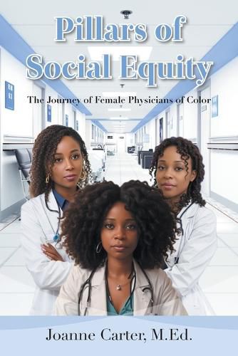 Cover image for Pillars of Social Equity