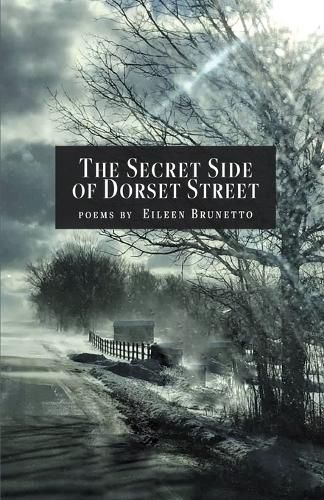 Cover image for The Secret Side of Dorset Street