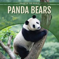 Cover image for Panda Bears