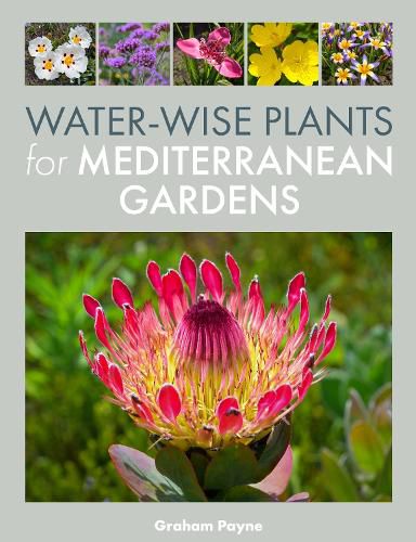 Cover image for Water-Wise Plants for Mediterranean Gardens