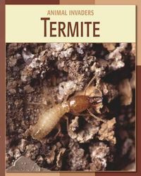 Cover image for Termite