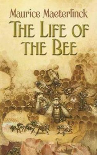 Cover image for The Life of the Bee